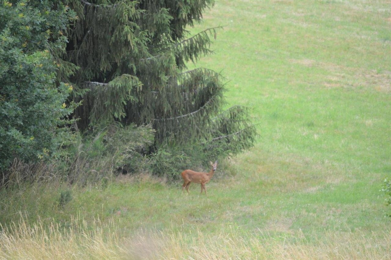 B&B Prosterath-Hochwald Zewnętrze zdjęcie