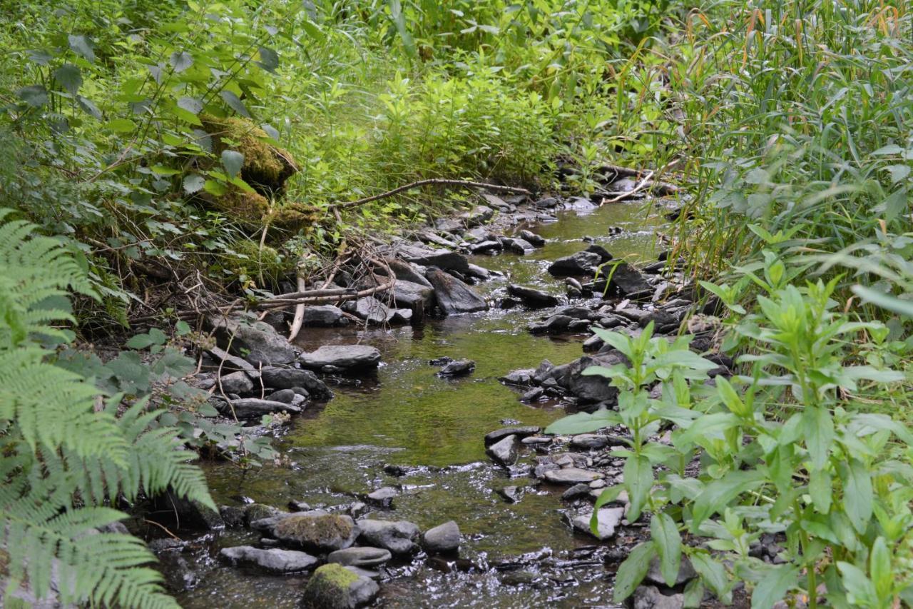 B&B Prosterath-Hochwald Zewnętrze zdjęcie