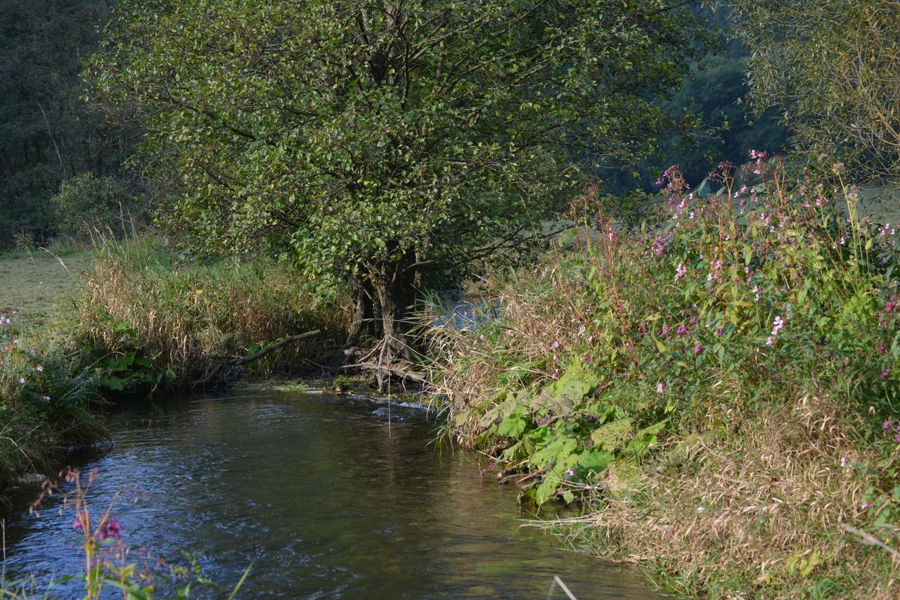 B&B Prosterath-Hochwald Zewnętrze zdjęcie