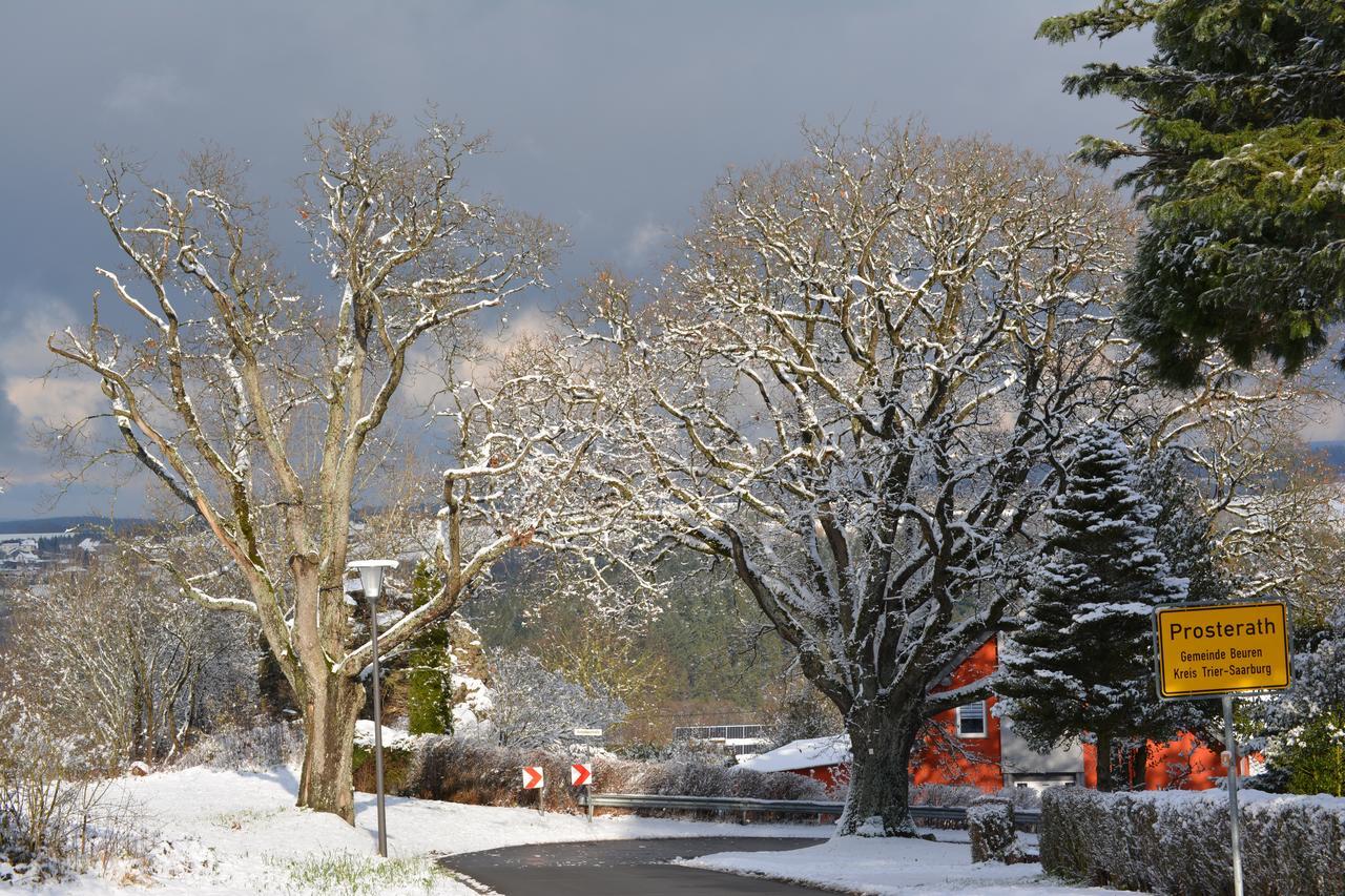 B&B Prosterath-Hochwald Zewnętrze zdjęcie