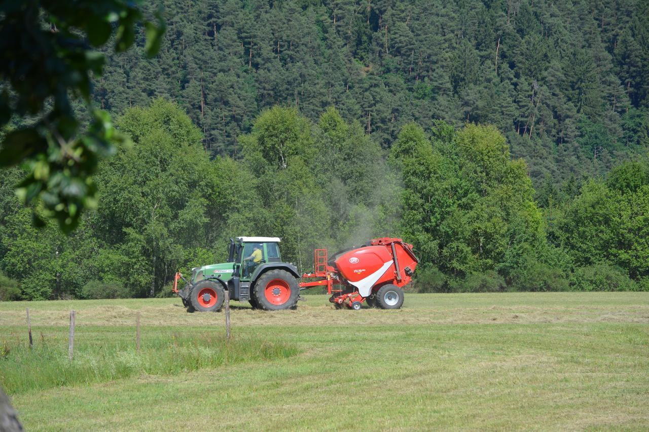 B&B Prosterath-Hochwald Zewnętrze zdjęcie